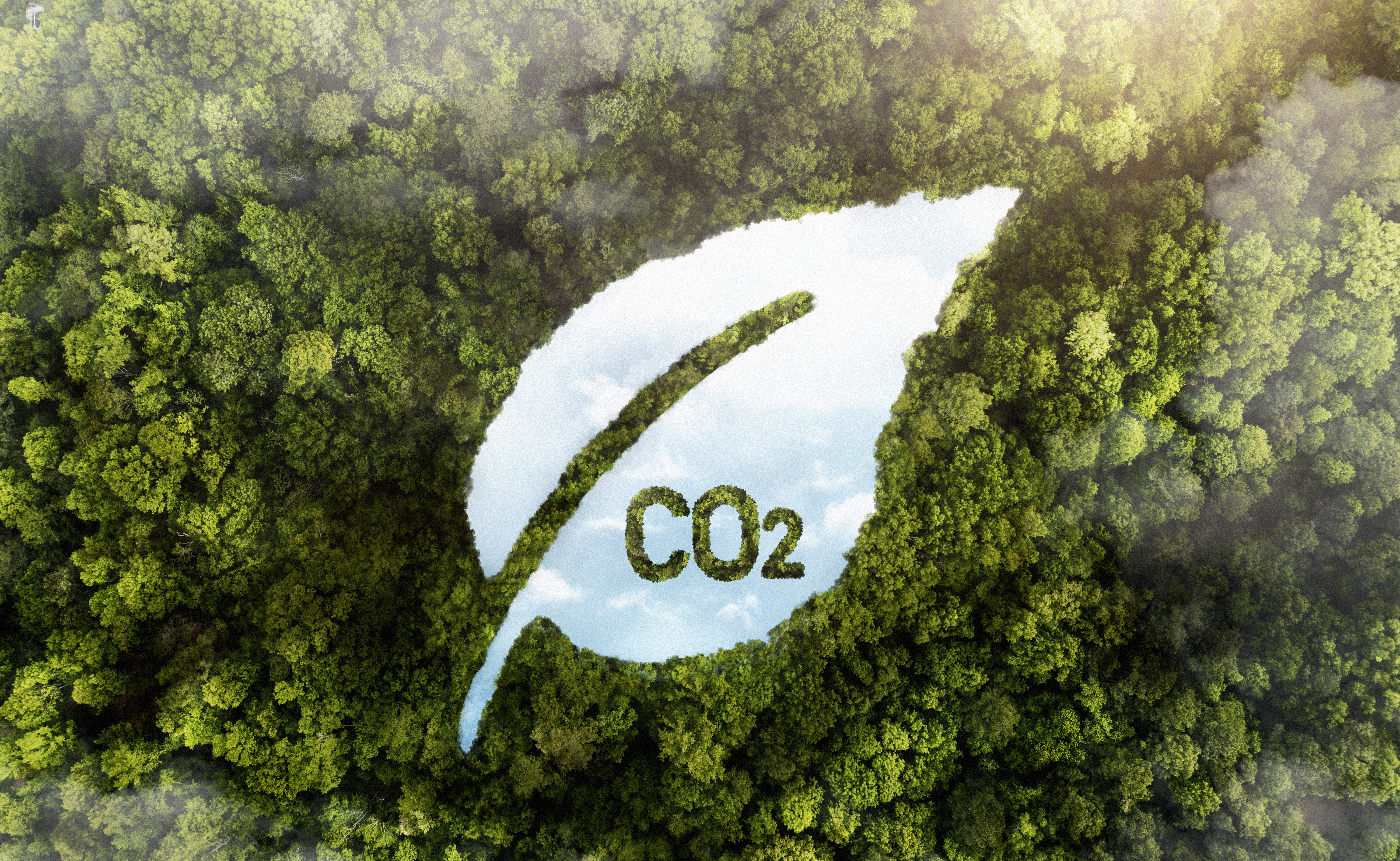 Decarbonization & Net Zero industry research